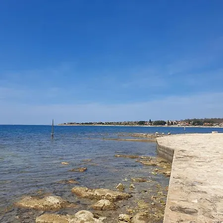 Alice Lejlighed Novigrad Istria