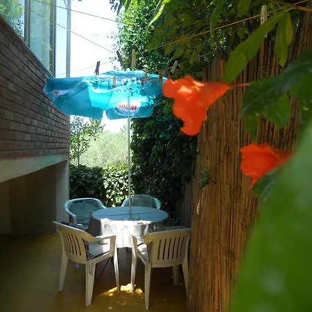 Alice Novigrad Istria