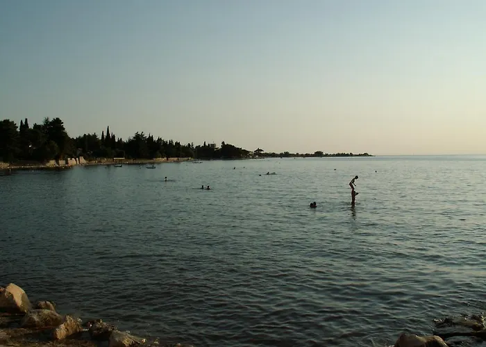 Alice Apartman Novigrad (Istria)