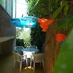 Alice Novigrad Istria